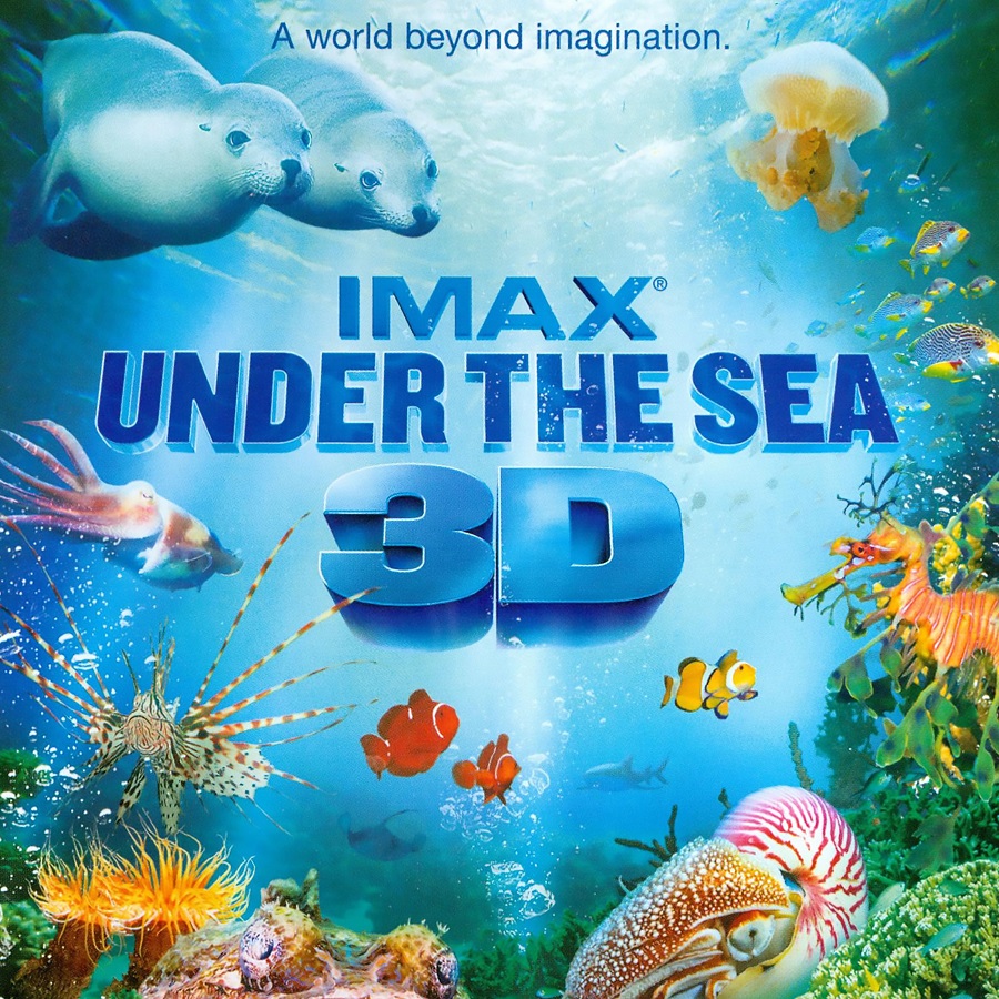 Under the Sea 3D | Marbles Kids Museum